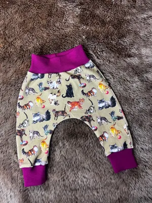 40% off Kitties Leggings