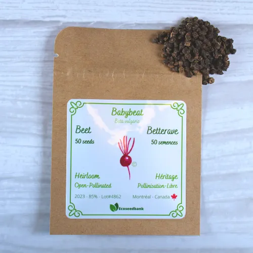 Babybeat Beet Seeds