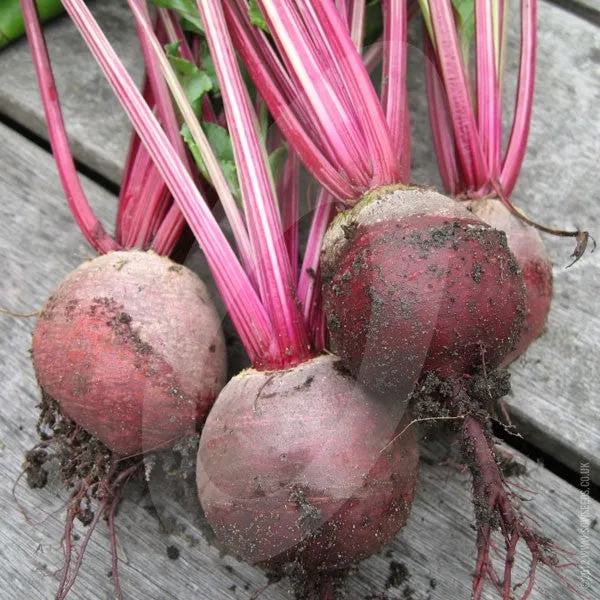 Beetroot Boltardy Seeds (AGM)