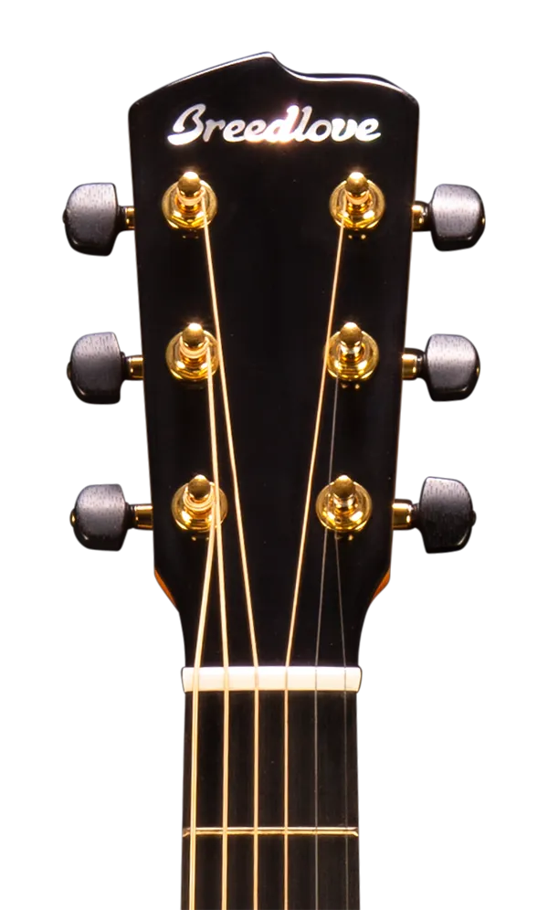 Breedlove Organic Artista Concertina Natural Shadow CE Acoustic