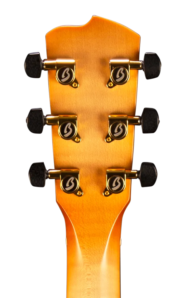 Breedlove Organic Artista Concertina Natural Shadow CE Acoustic