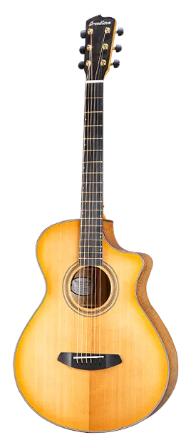Breedlove Organic Artista Concertina Natural Shadow CE Acoustic