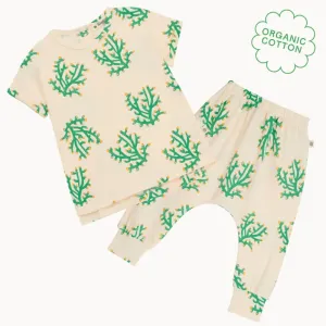 Cruz & Coast Set - Coral T-Shirt & Legging Set