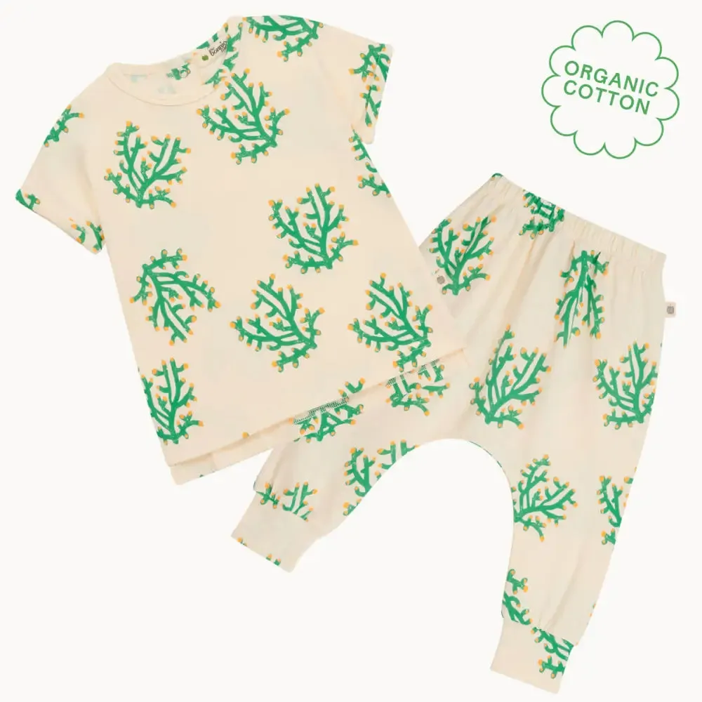 Cruz & Coast Set - Coral T-Shirt & Legging Set