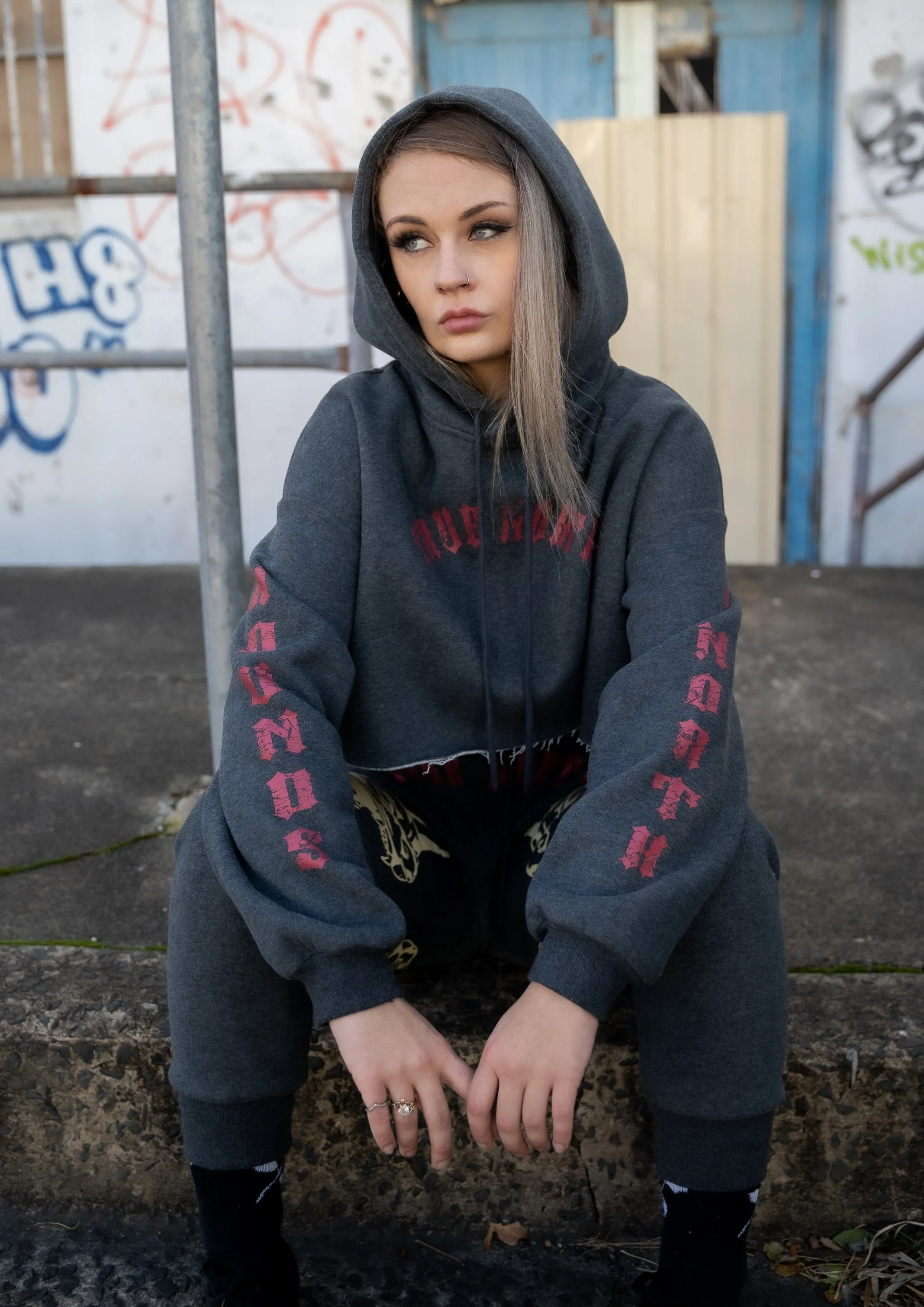 Hounds of North Cropped Hoodie
