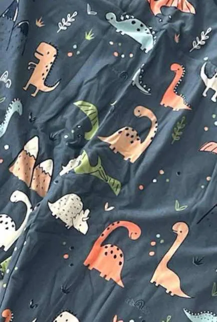 Leggings - Blue Multi Dinos