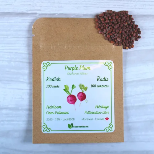 Purple Plum Radish Seeds