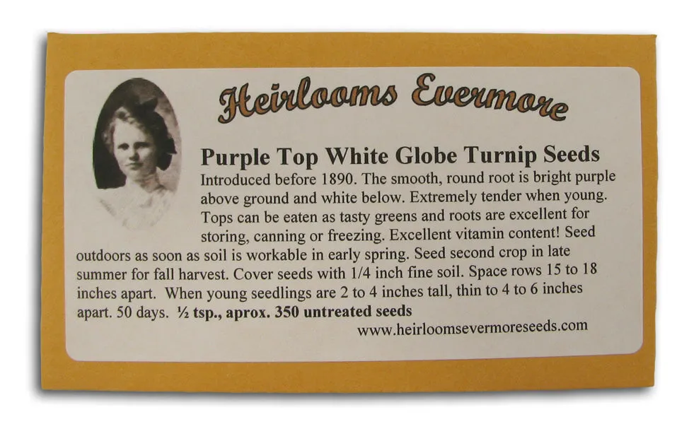 Purple Top White Globe Turnip Seeds
