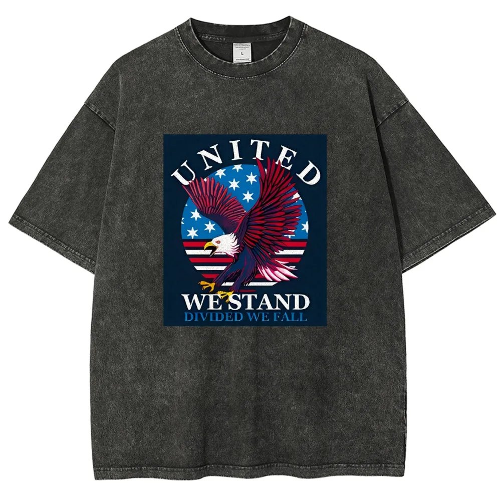 Unisex American Flag Star And Eagle Graphic Vintage Washed Tee