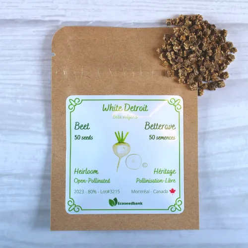 White Detroit Beet Seeds